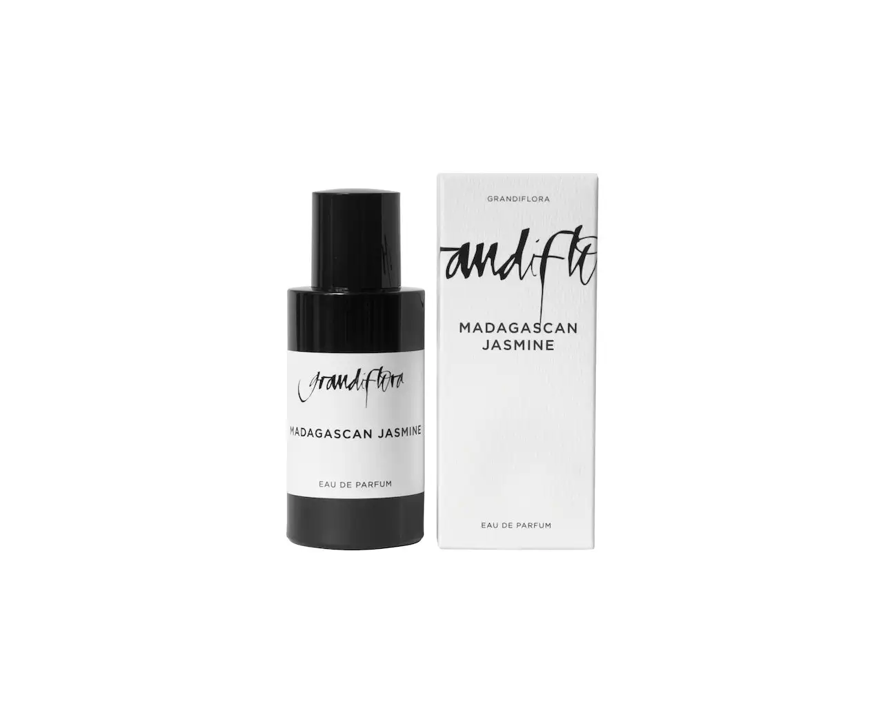 Grandiflora MADAGASCAN JASMINE - alternate view