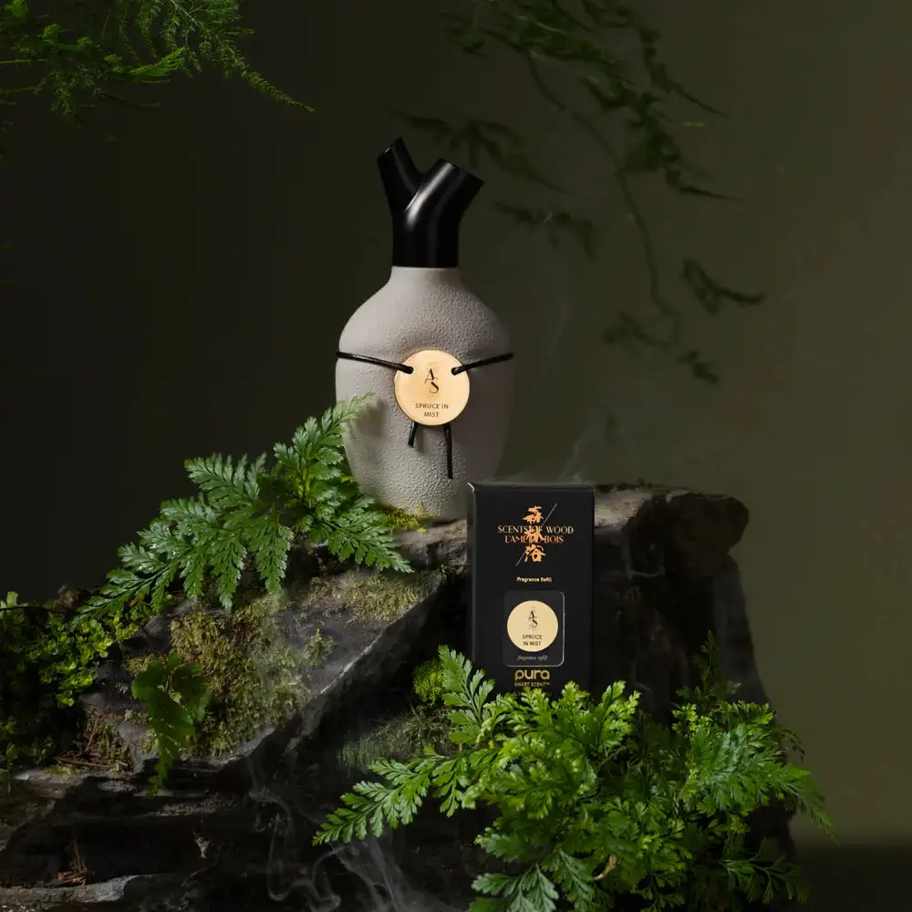 Spruce in Mist - 75ml