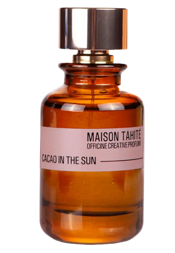 CACAO IN THE SUN - Image