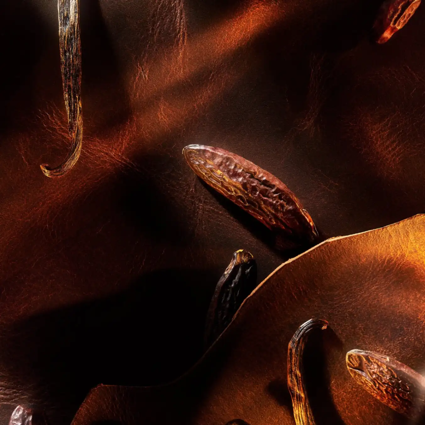 Parfum De La Nuit 1 - Image