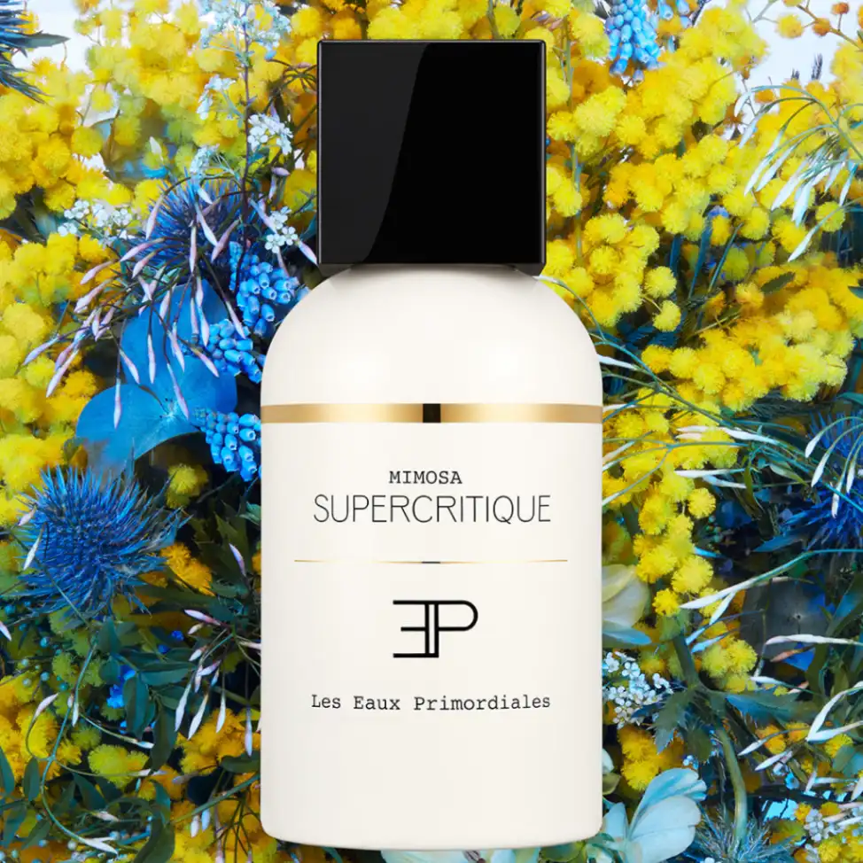 MIMOSA SUPERCRITIQUE - 100ml