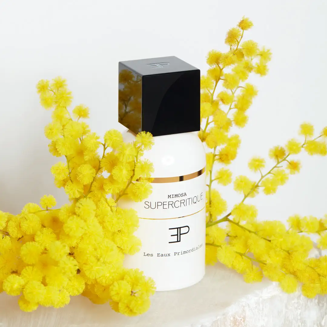 MIMOSA SUPERCRITIQUE - 100ml