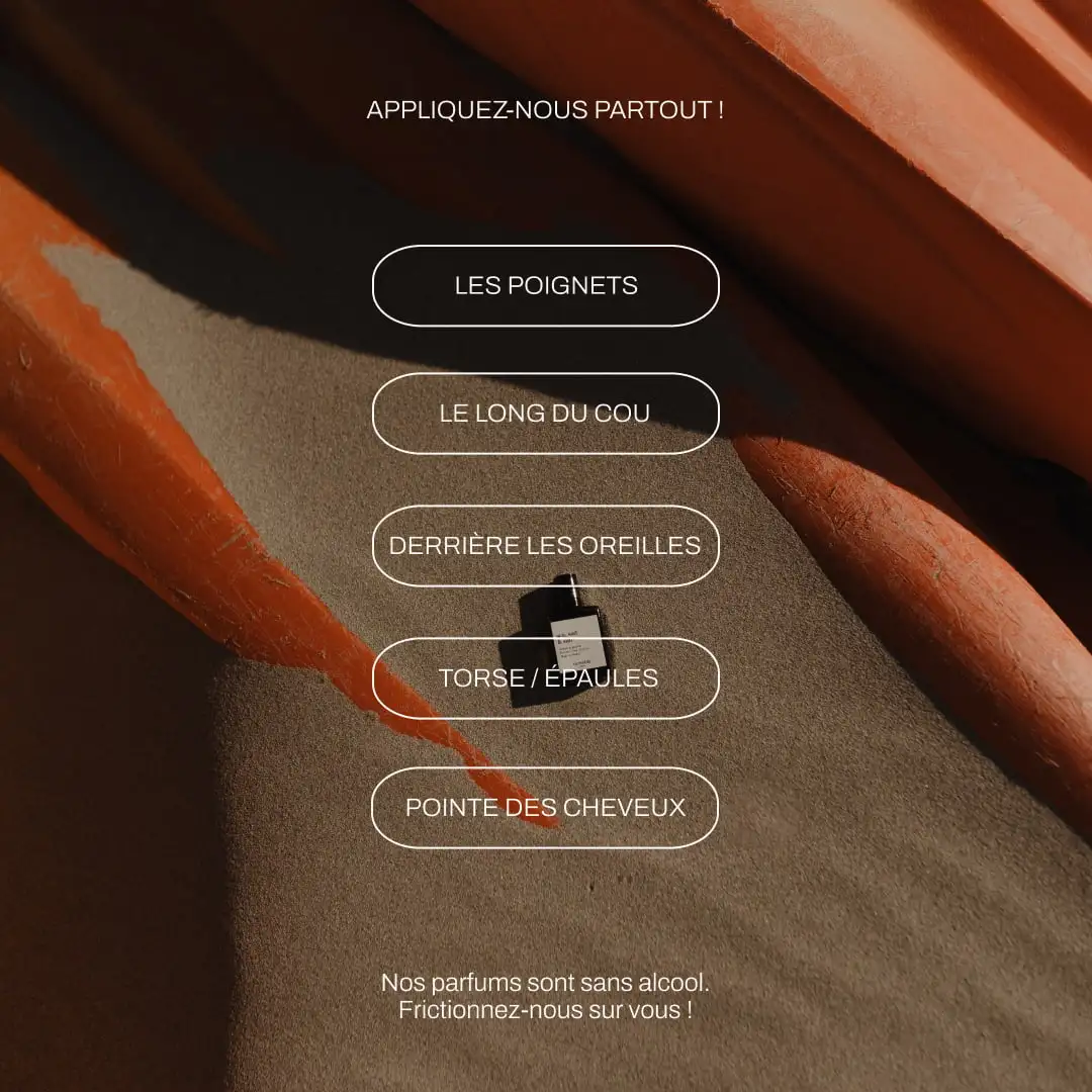 SEA, SUD & SUN - Image