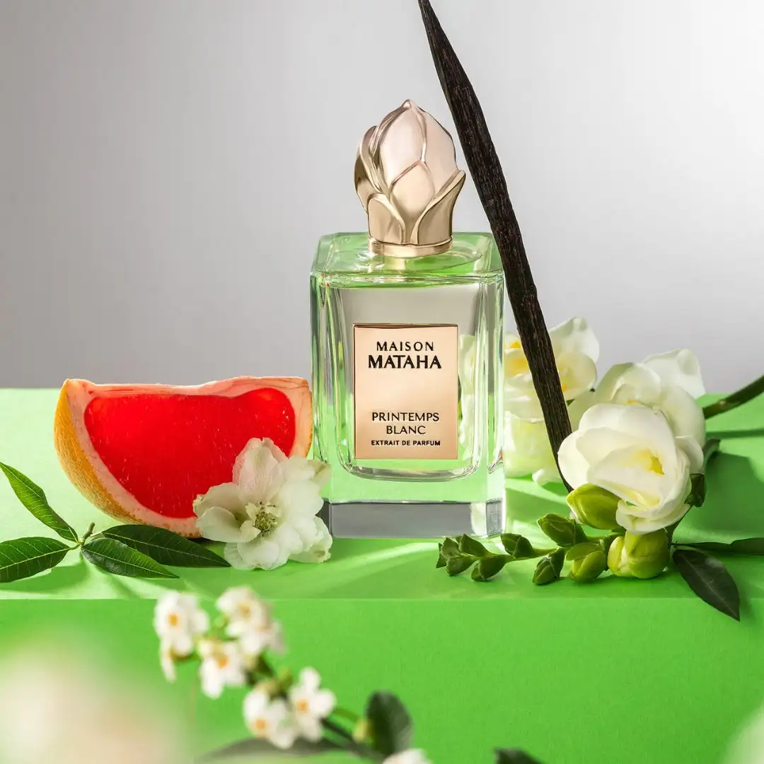 PRINTEMPS BLANC - Image