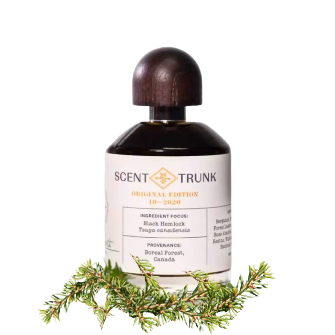 Black Hemlock - Image