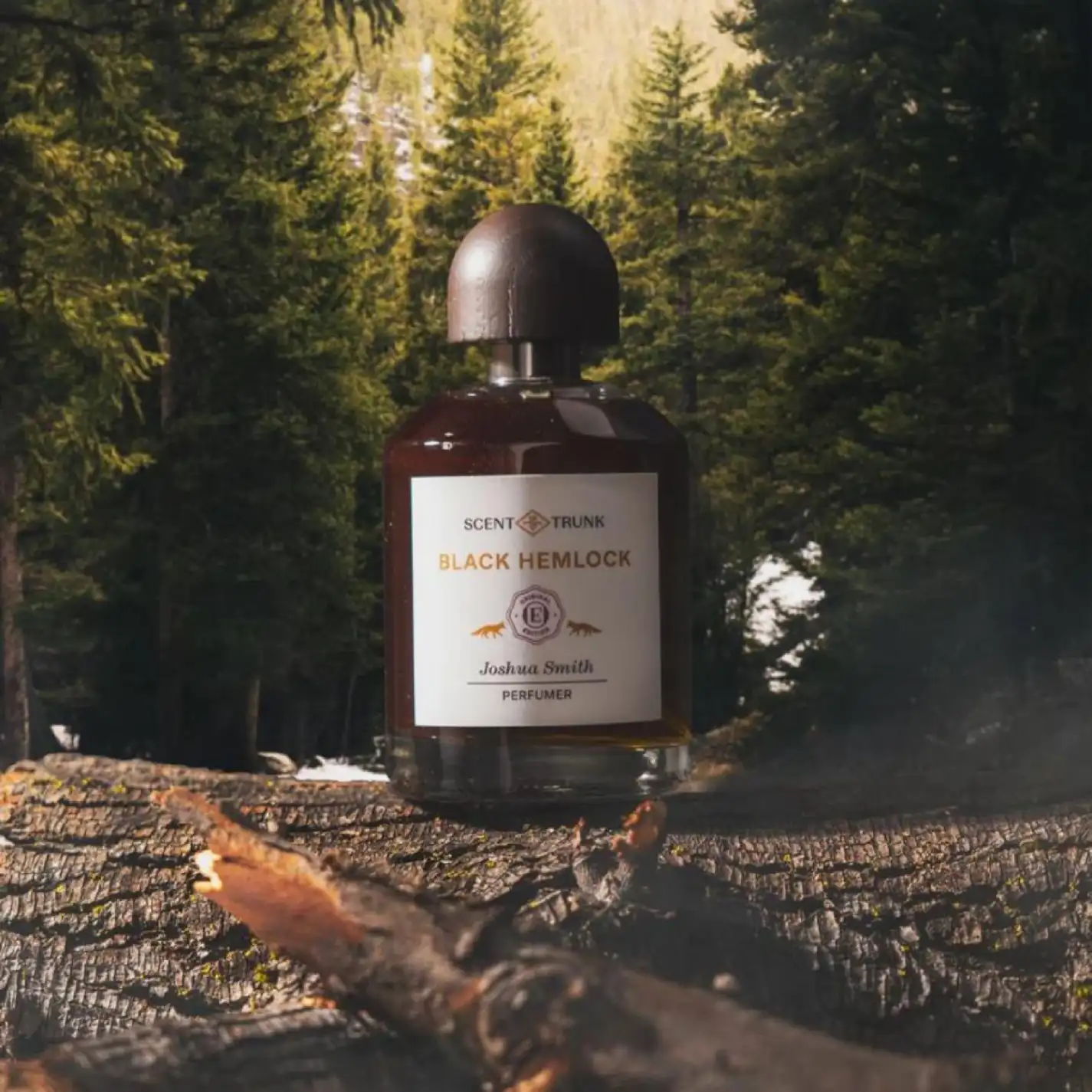 Black Hemlock - Image