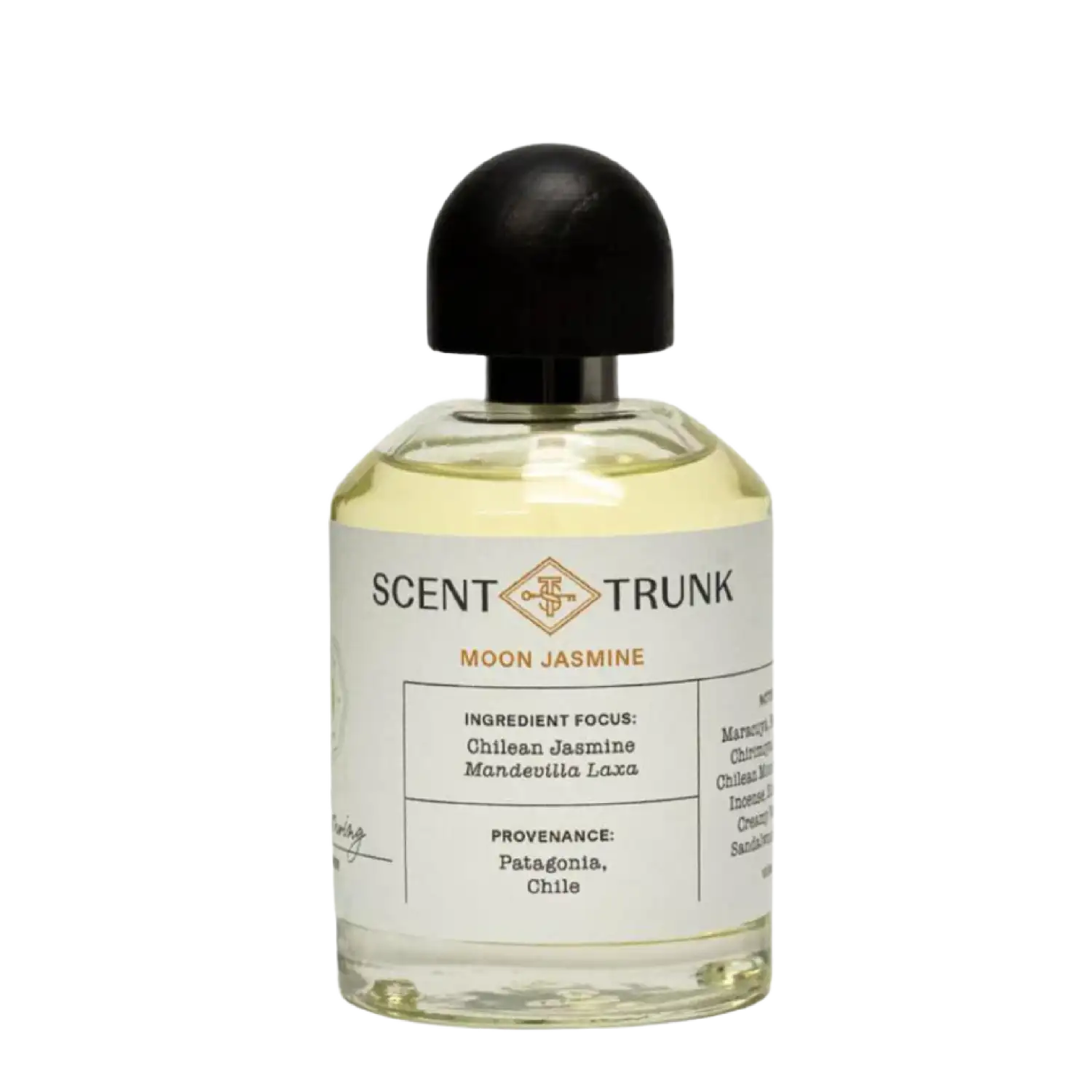 Moon Jasmine - Image