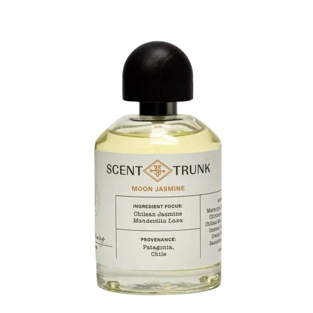 Moon Jasmine - Image