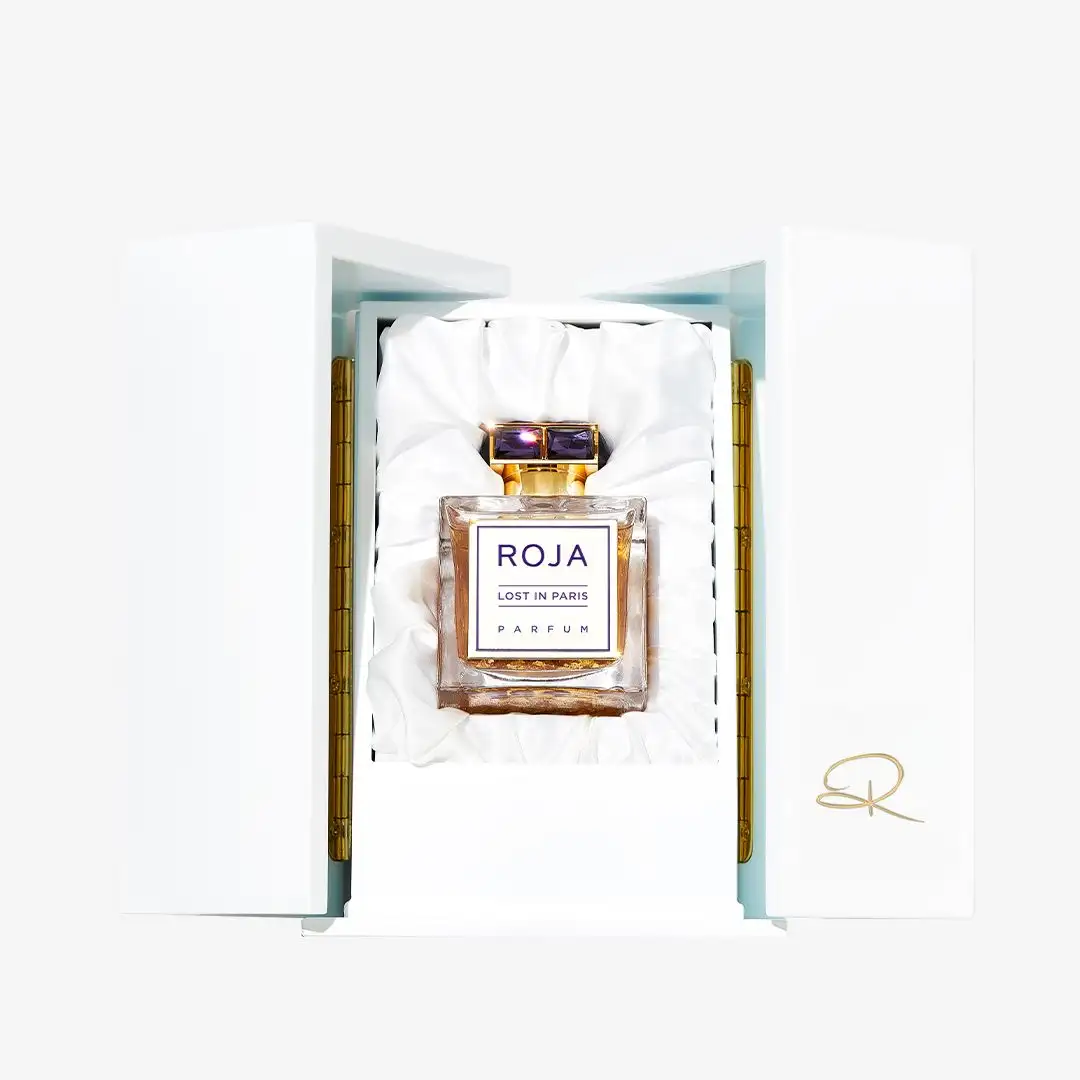 Lost In Paris - Image