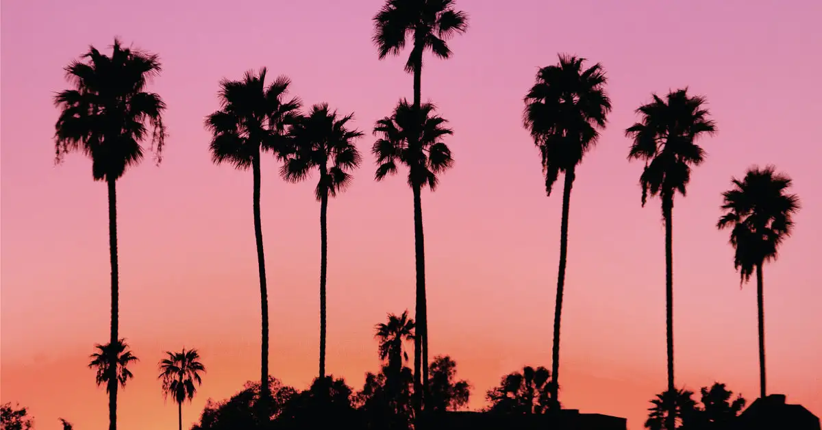 YOU OR SOMEONE LIKE YOU - Image