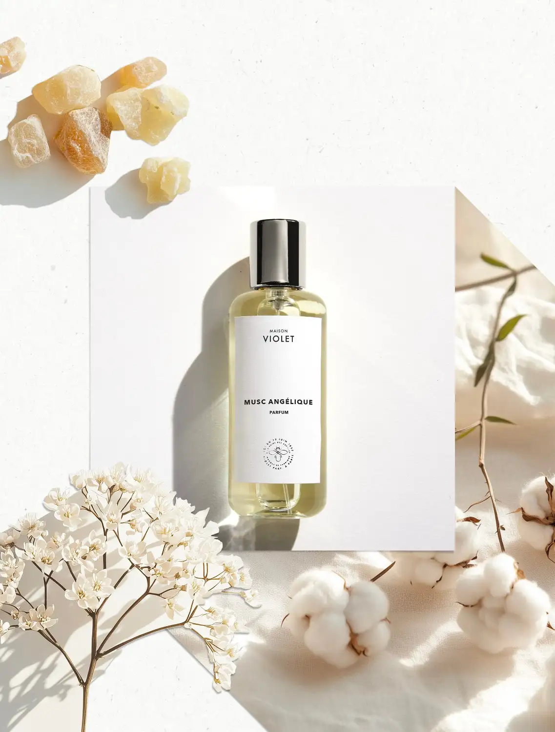 MUSC ANGÉLIQUE - Image