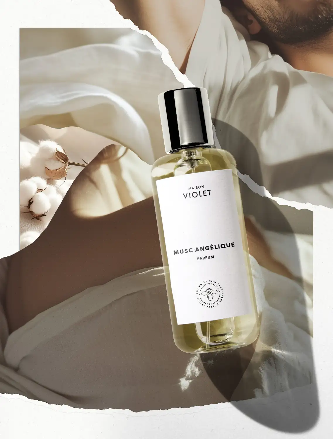 MUSC ANGÉLIQUE - Image