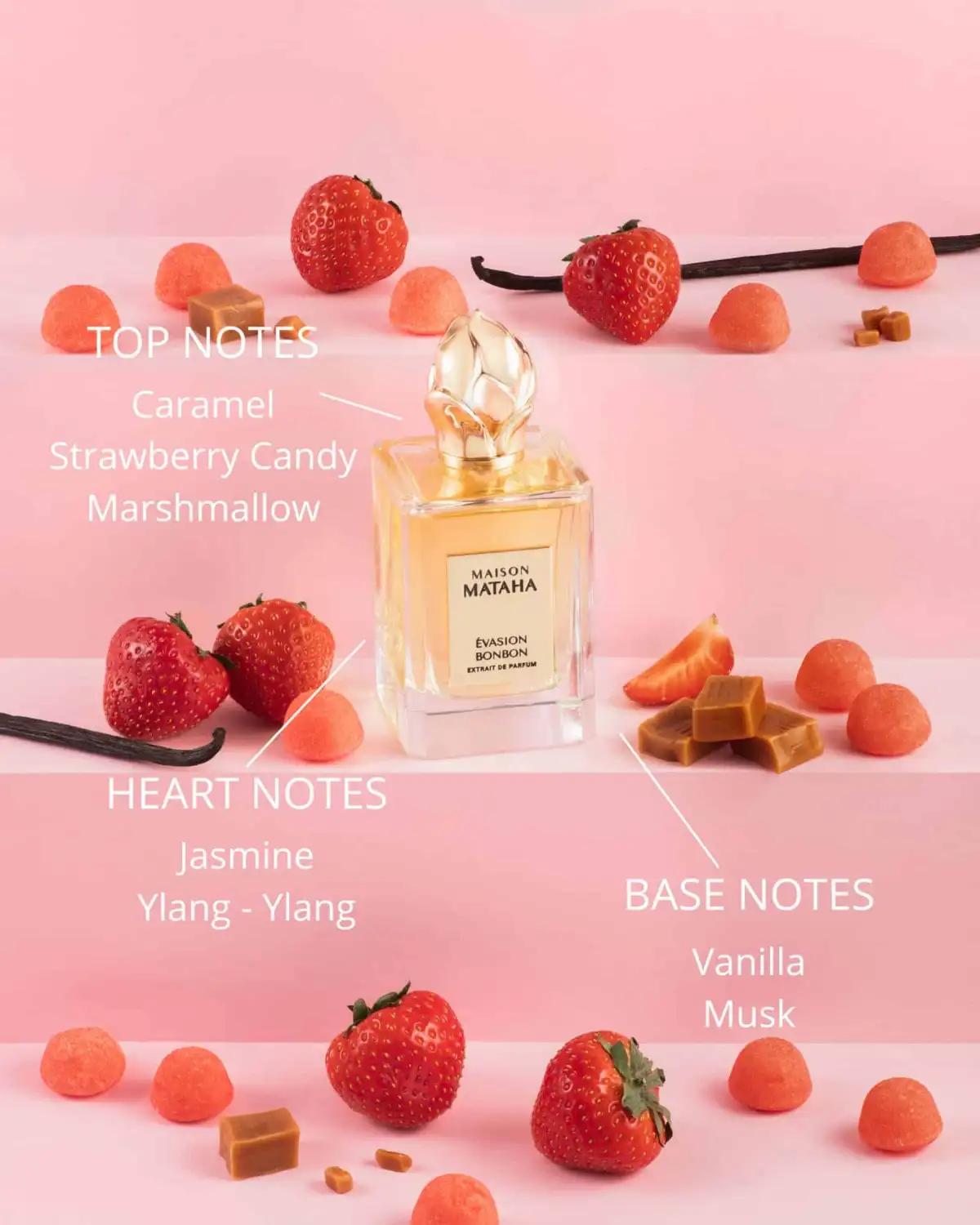 EVASION BONBON - Image