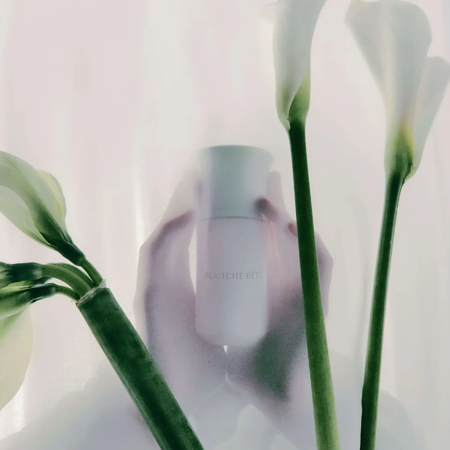 Blanche Bête Limited Edition - Image