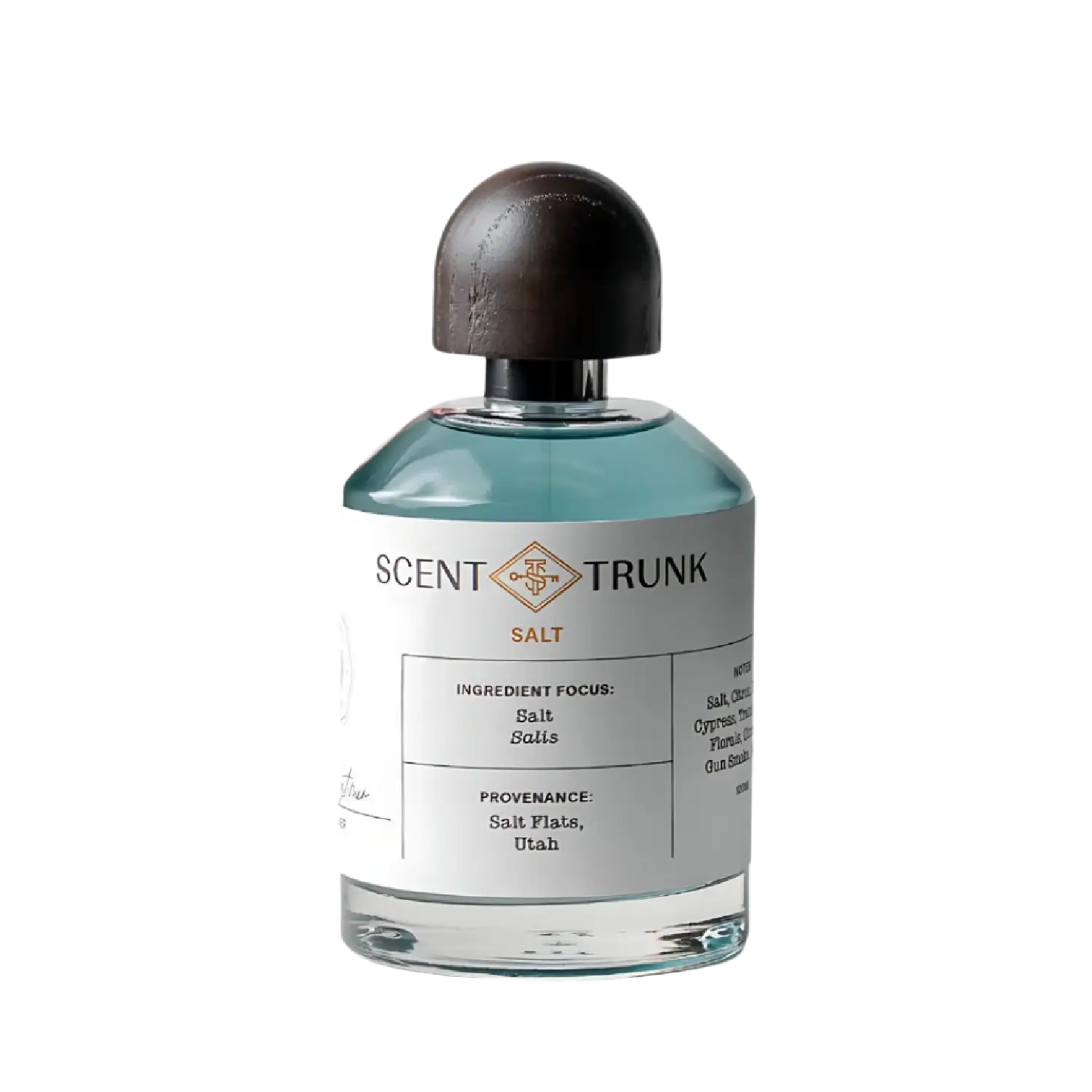 Salt - 3.4 fl. oz. - 100ml