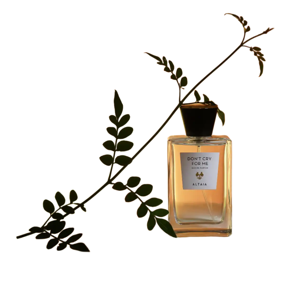 Don't Cry For Me - Image