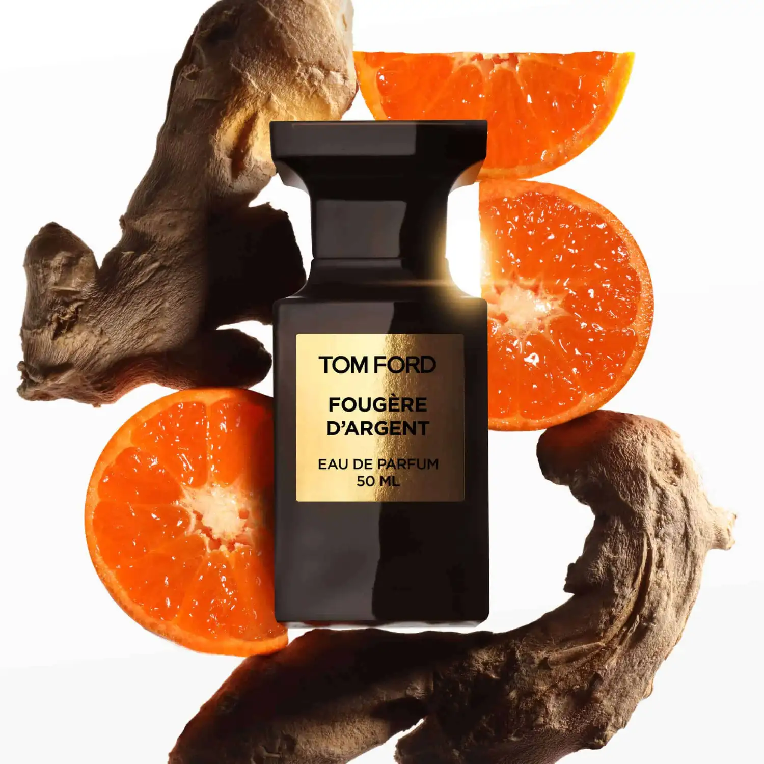 Fougère D'Argent - Image