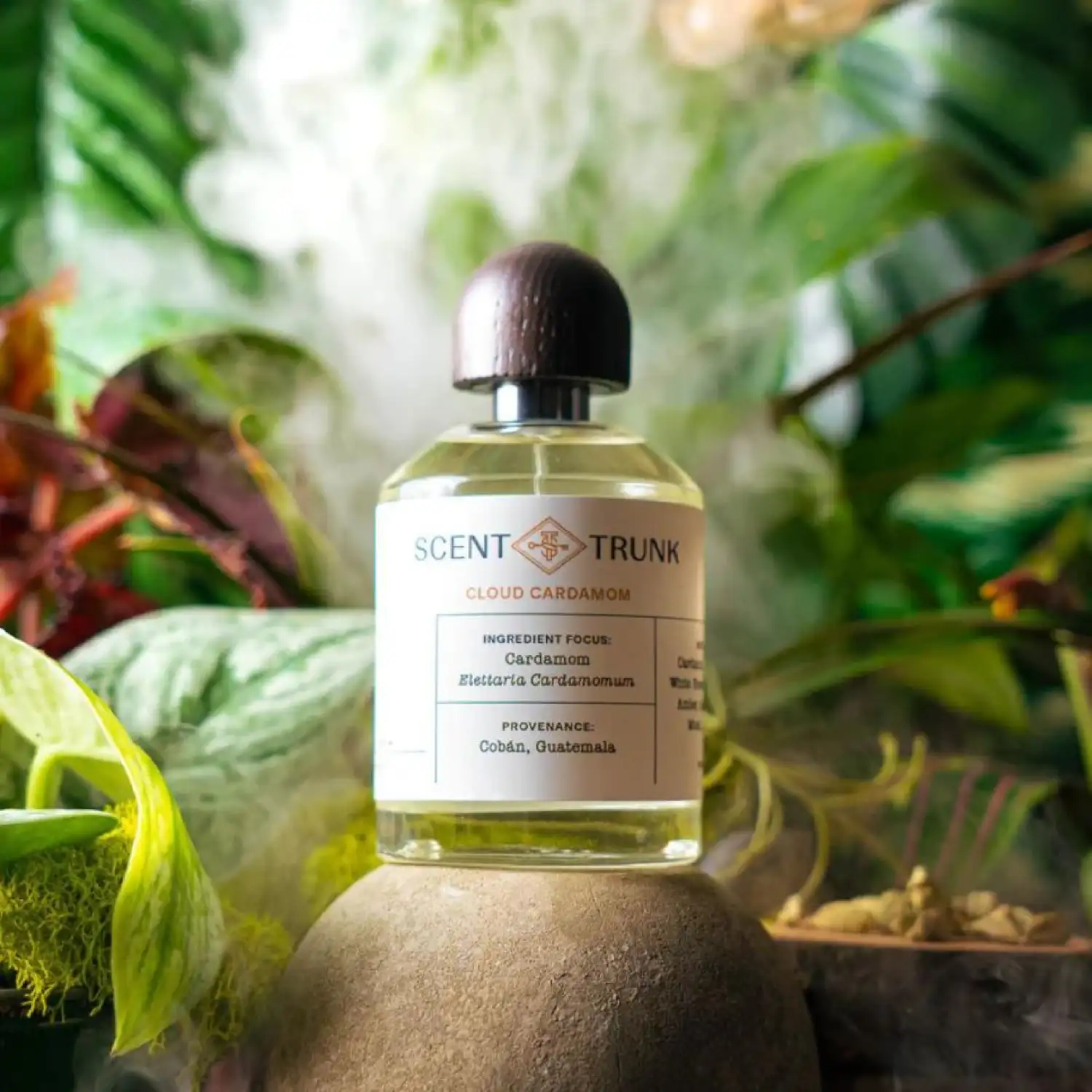 Cloud Cardamom - Image