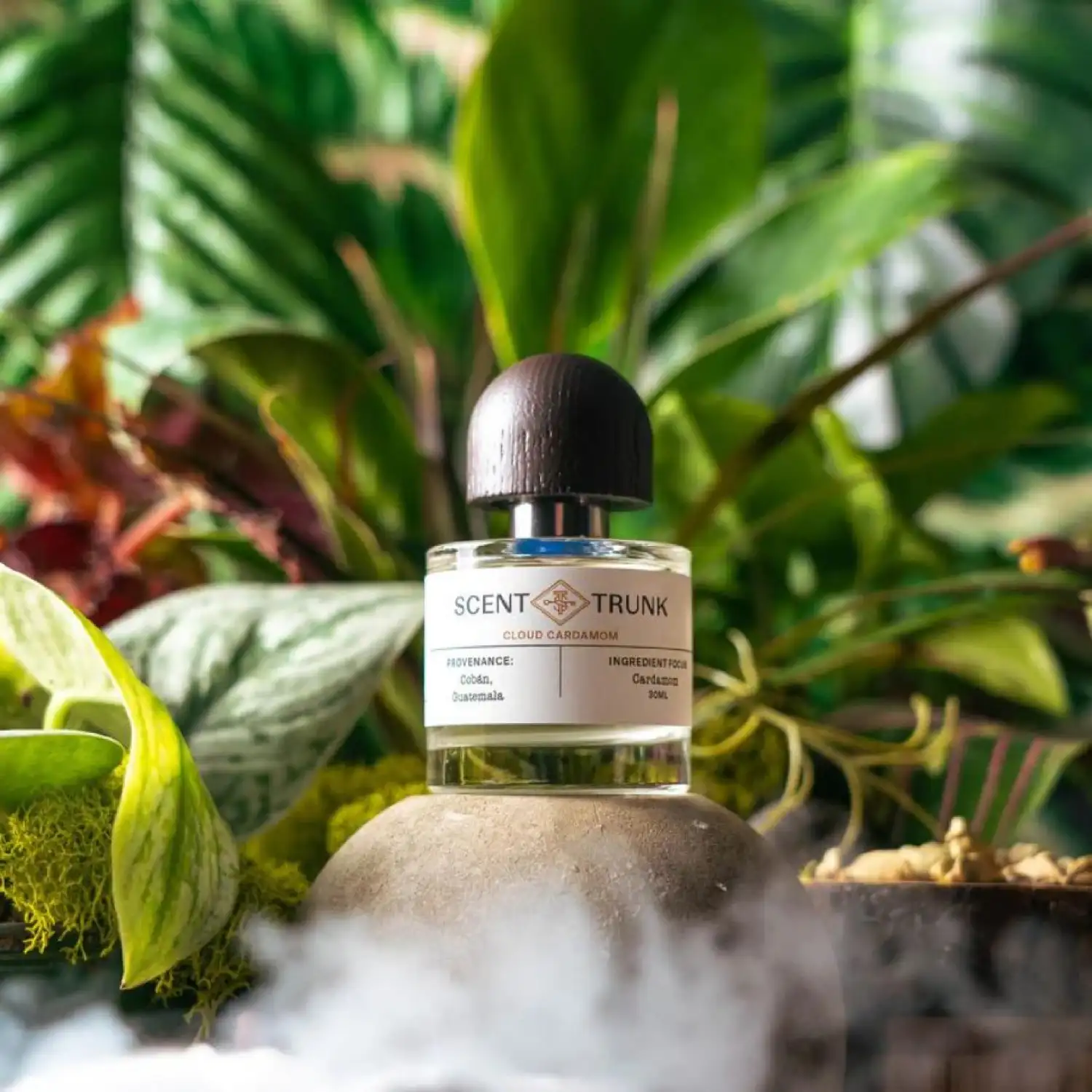 Cloud Cardamom - Image