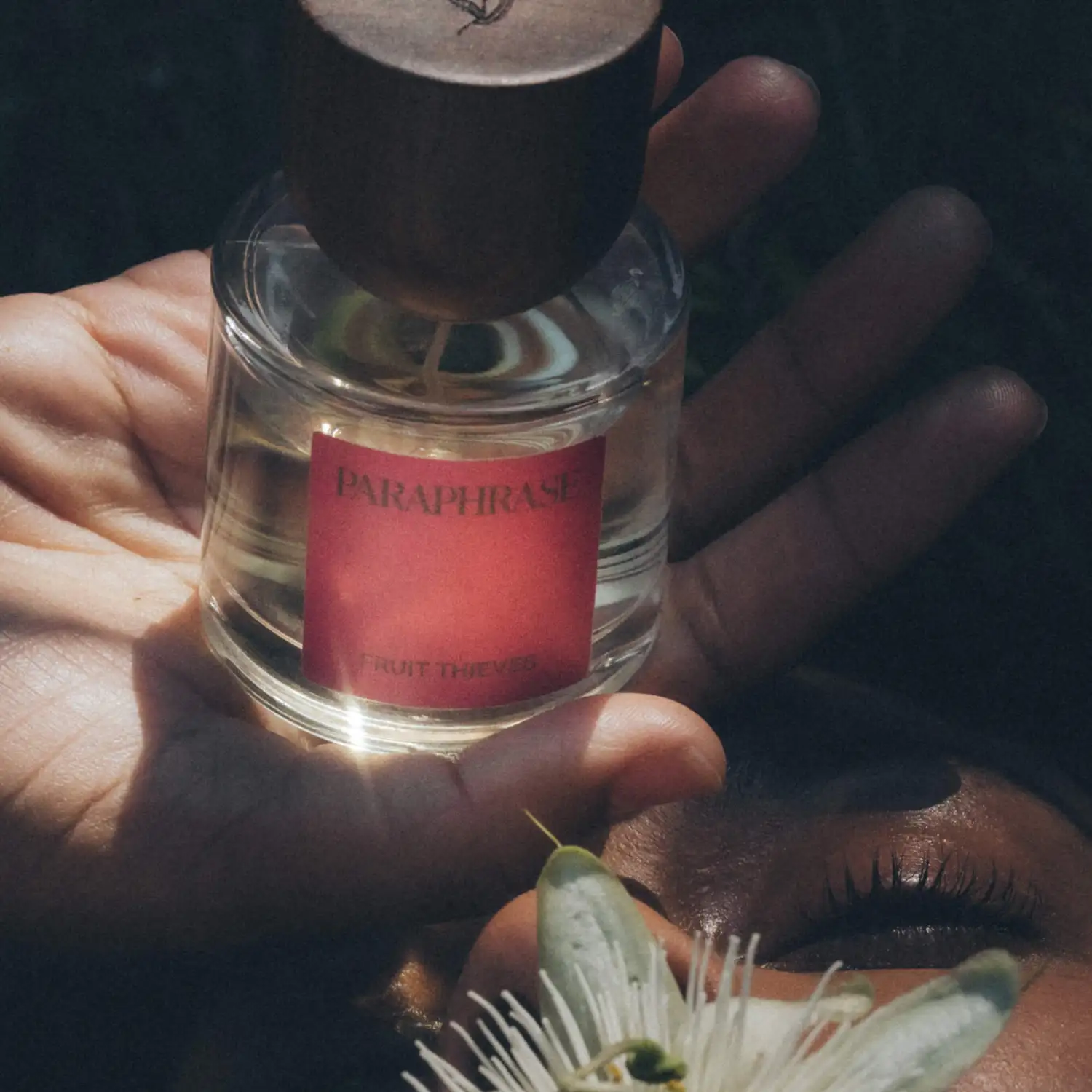 FRUIT THIEVES - 50ml