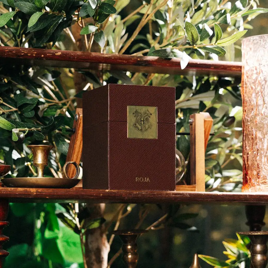 HARRY POTTER BURLINGTON 1819 LIMITED-EDITION - Image