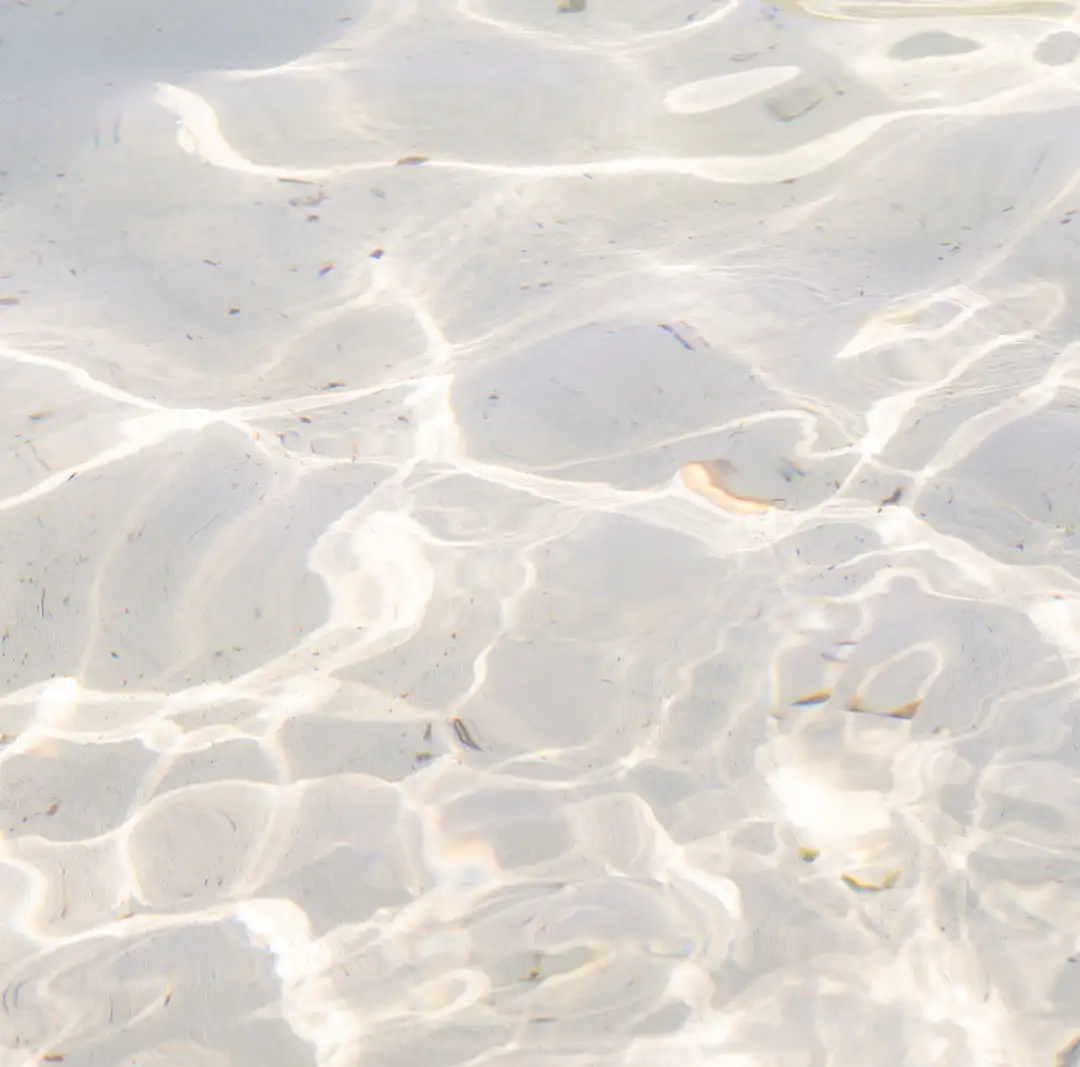 ÉDITIONS DE FRAÎCHE - Image