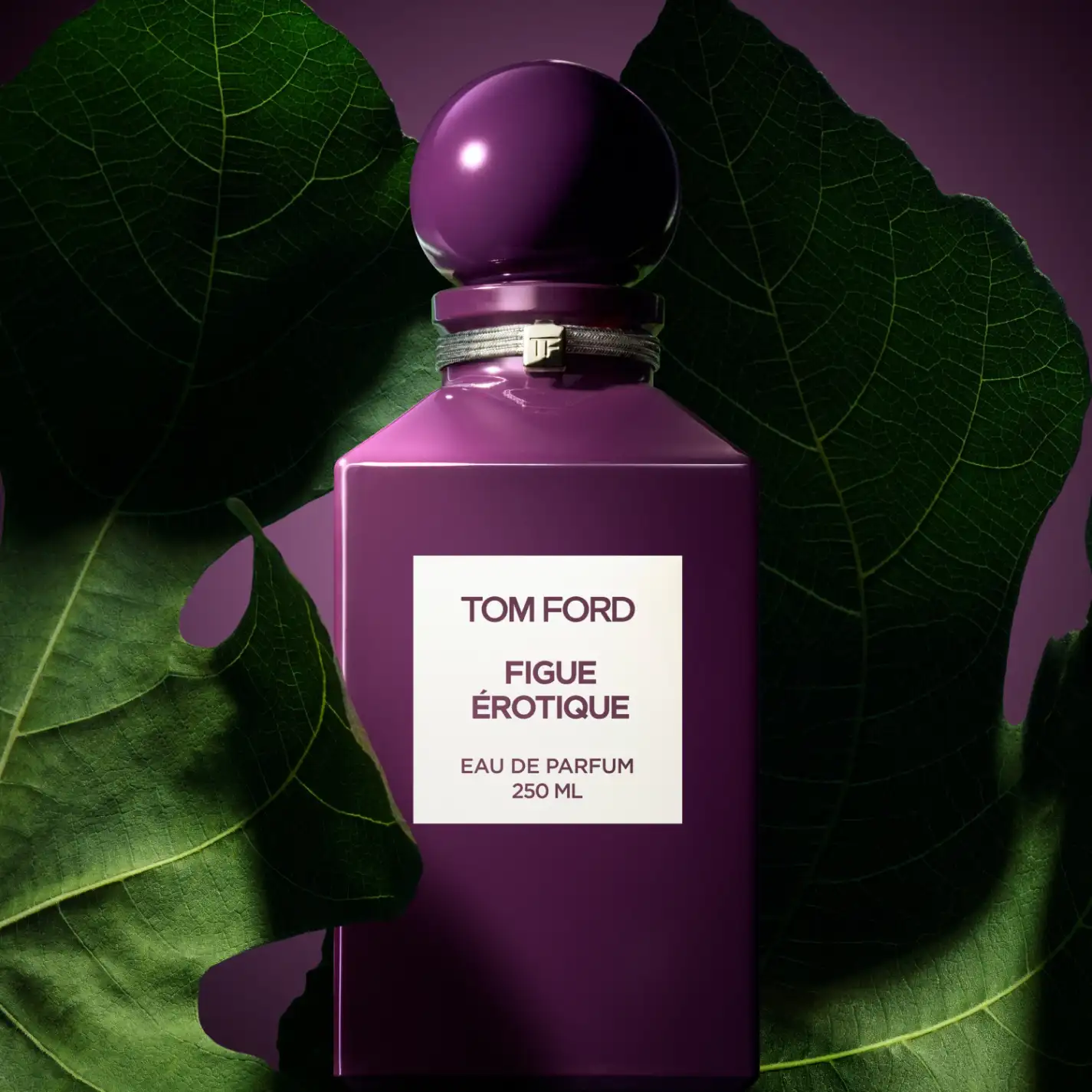 Figue Érotique - 250ml