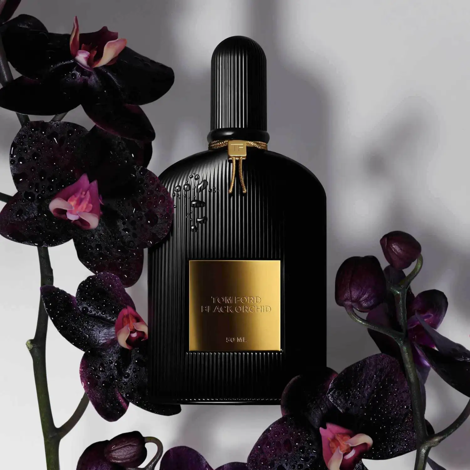 Black Orchid - 50ml