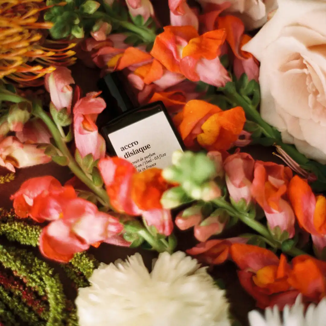 ACCRODISIAQUE - Image