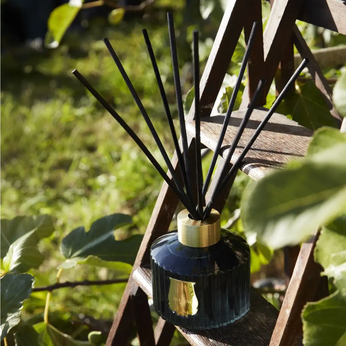 The Large Diffuser Figuerie - Image