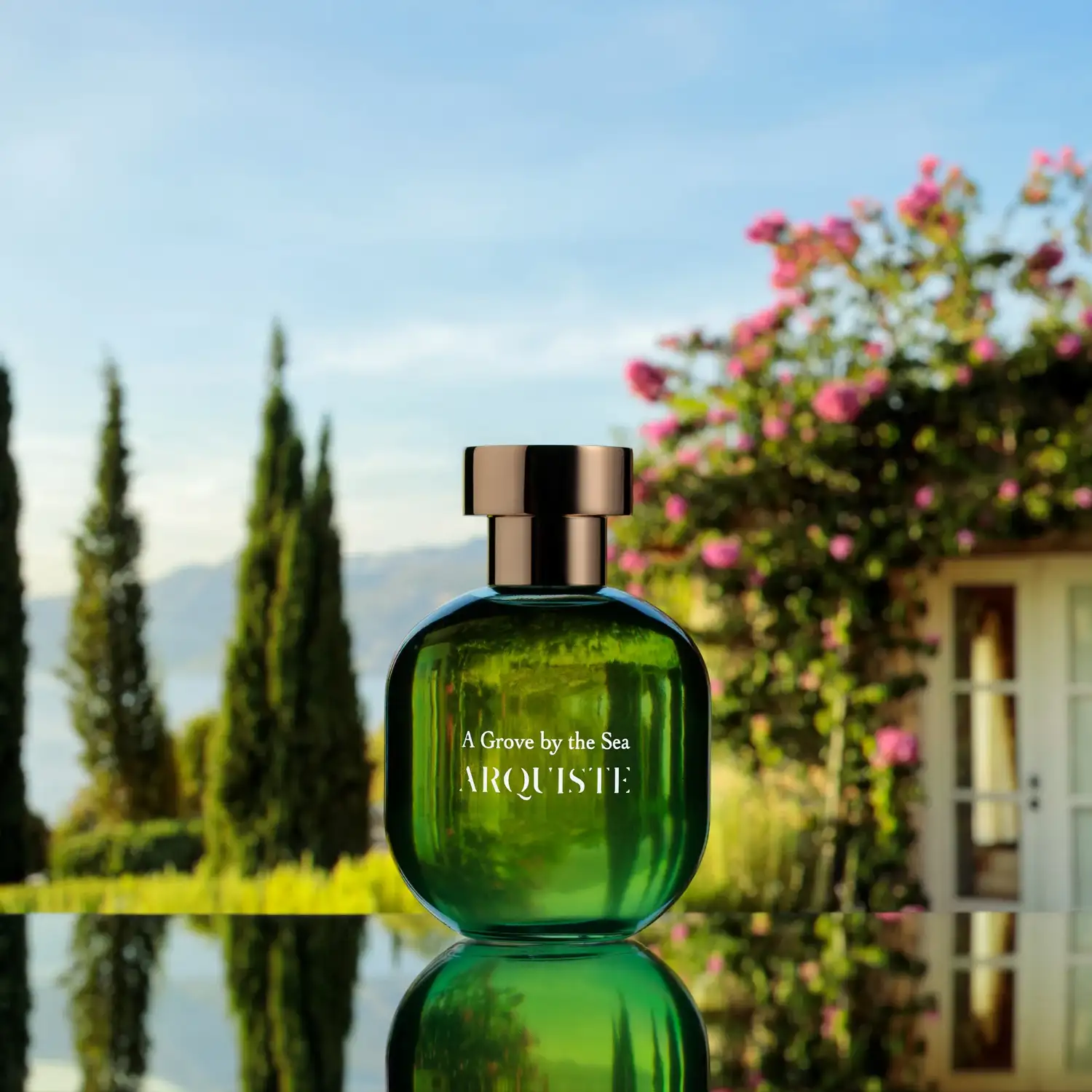 A GROVE BY THE SEA - A_Grove_By_The_Sea_8P3A8725-28_Extended_1024x1024@2x.webp