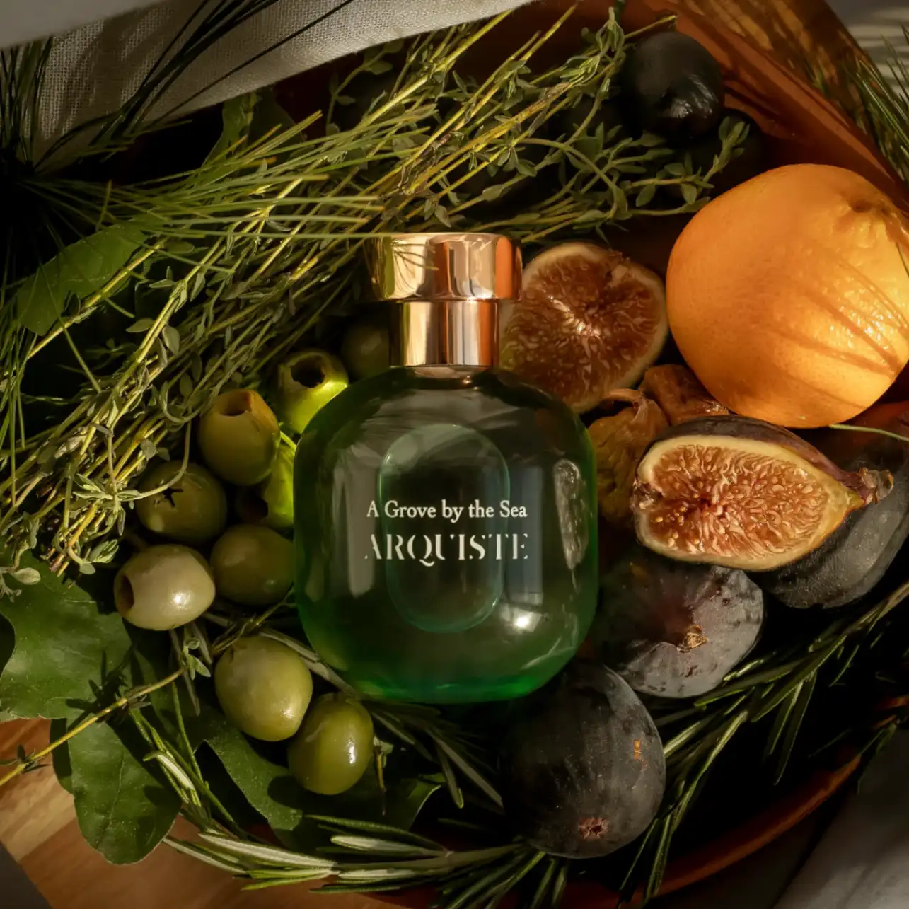 A GROVE BY THE SEA - 05_ARQUISTE_AGroveByTheSea_1024x1024@2x.webp