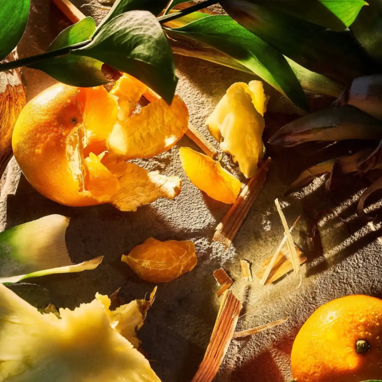 Apex Pour Homme - apex-pour-homme-fragrance-roja-parfums-565065.jpg