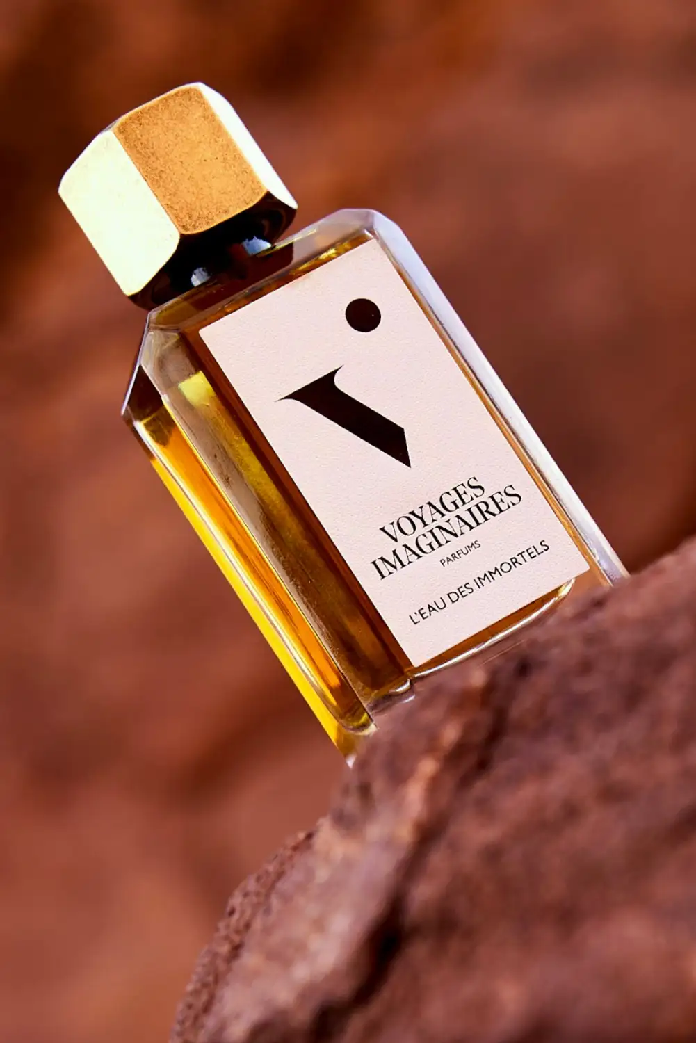 L'EAU DES IMMORTELS - Image