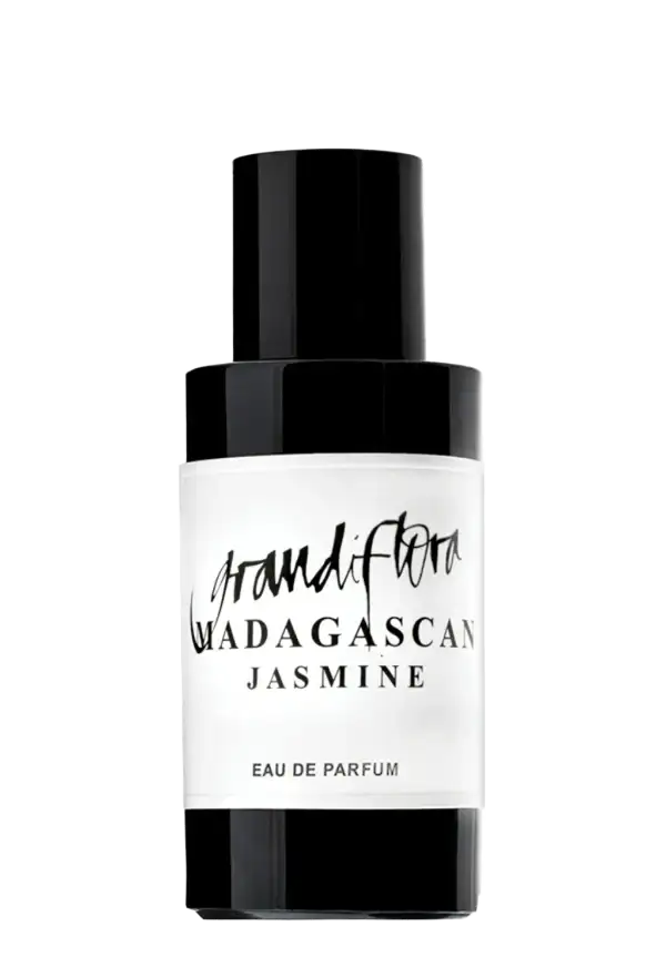 MADAGASCAN JASMINE - Image
