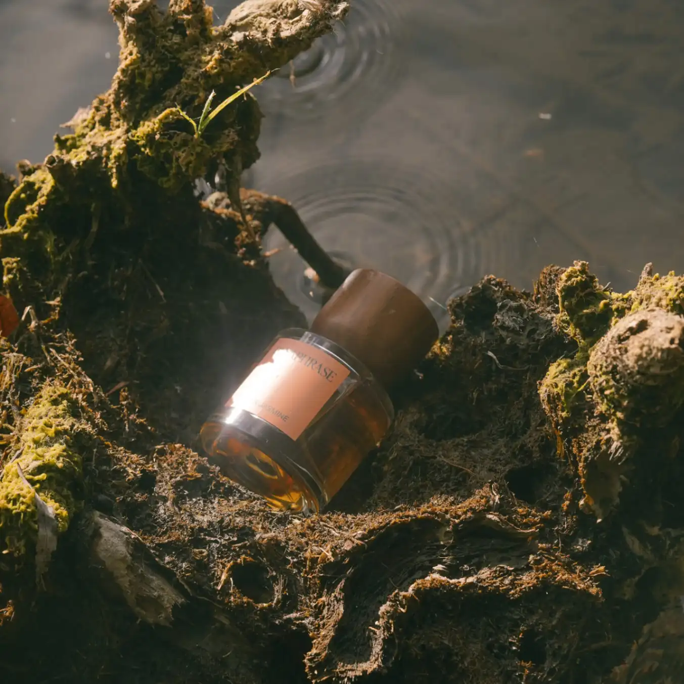 SEX & JASMINE - 50ml