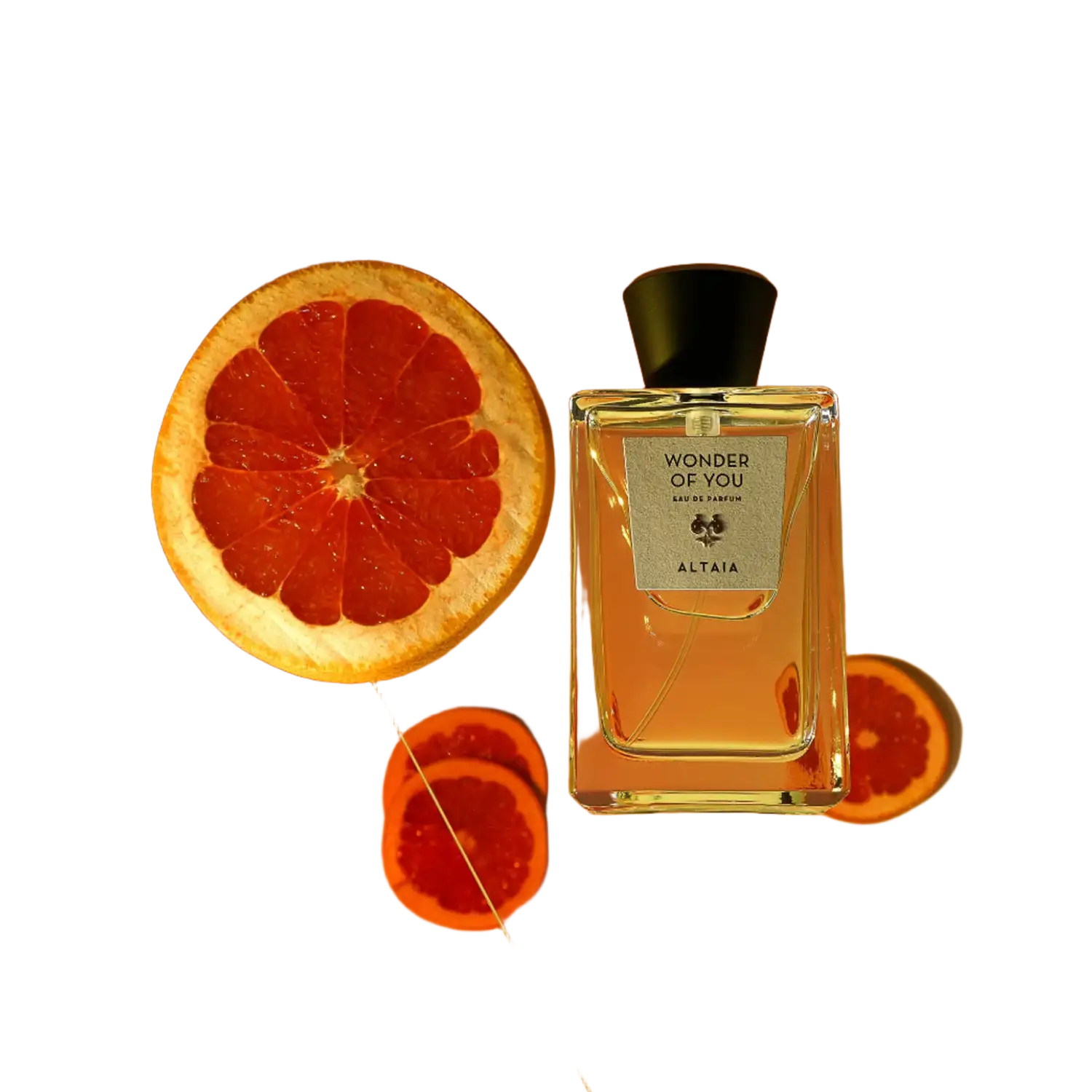 Wonder Of You - Image