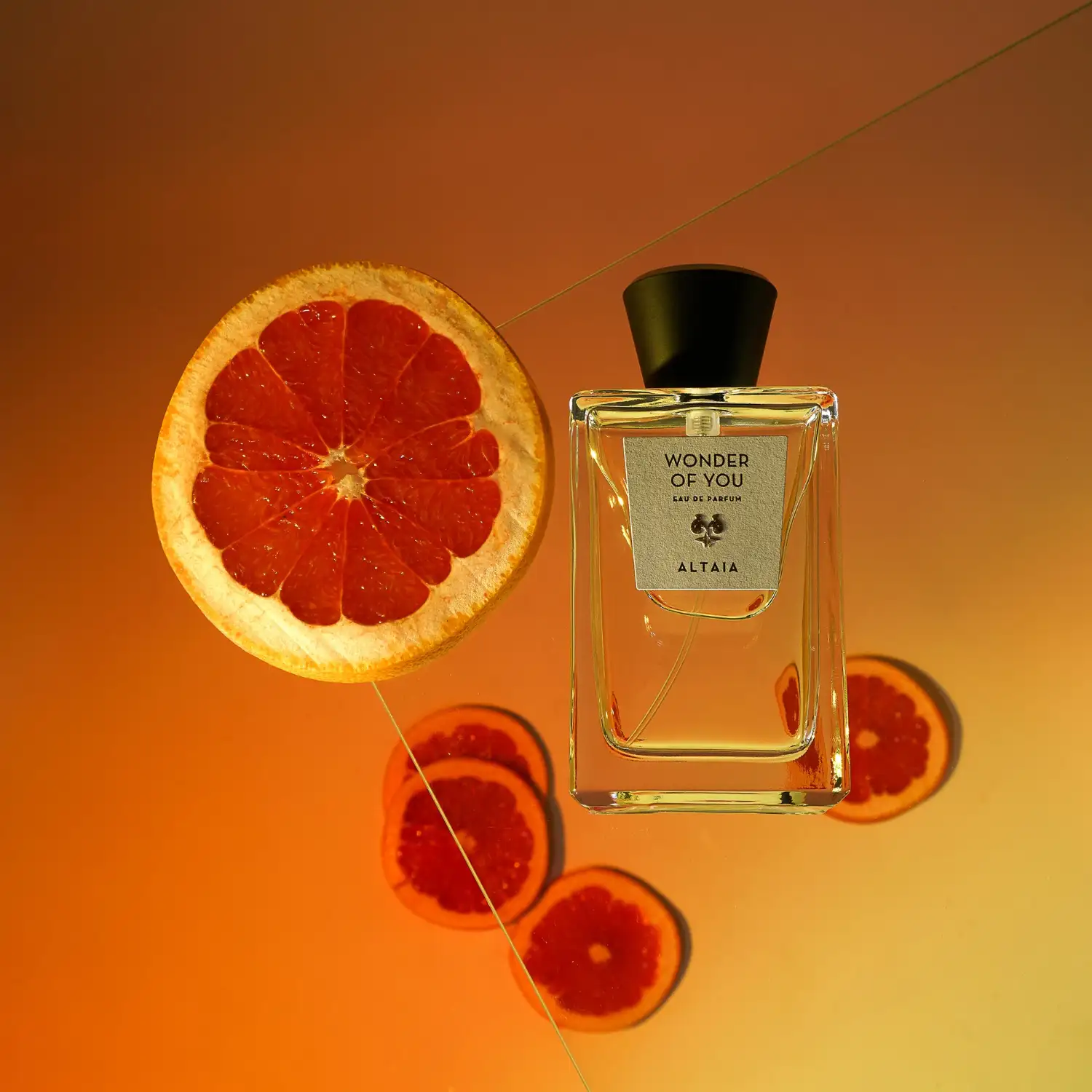 Wonder Of You - Image