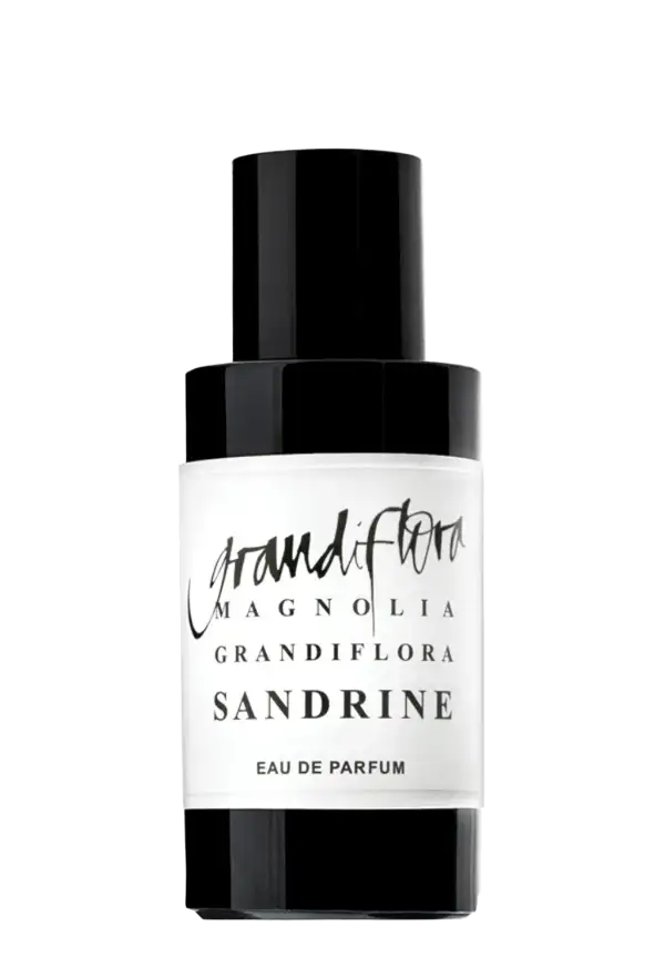 Grandiflora Magnolia - Sandrine