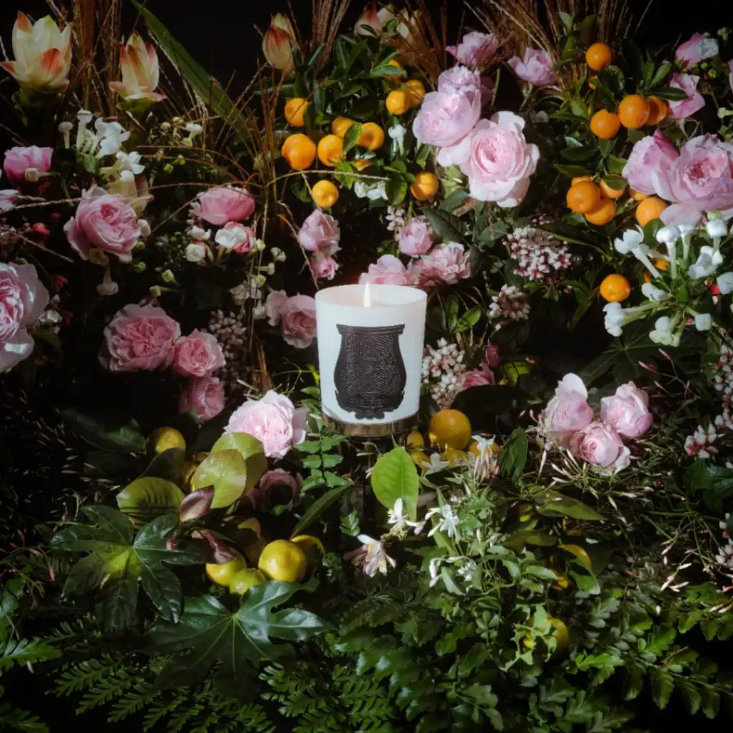 Rose Poivrée - Image