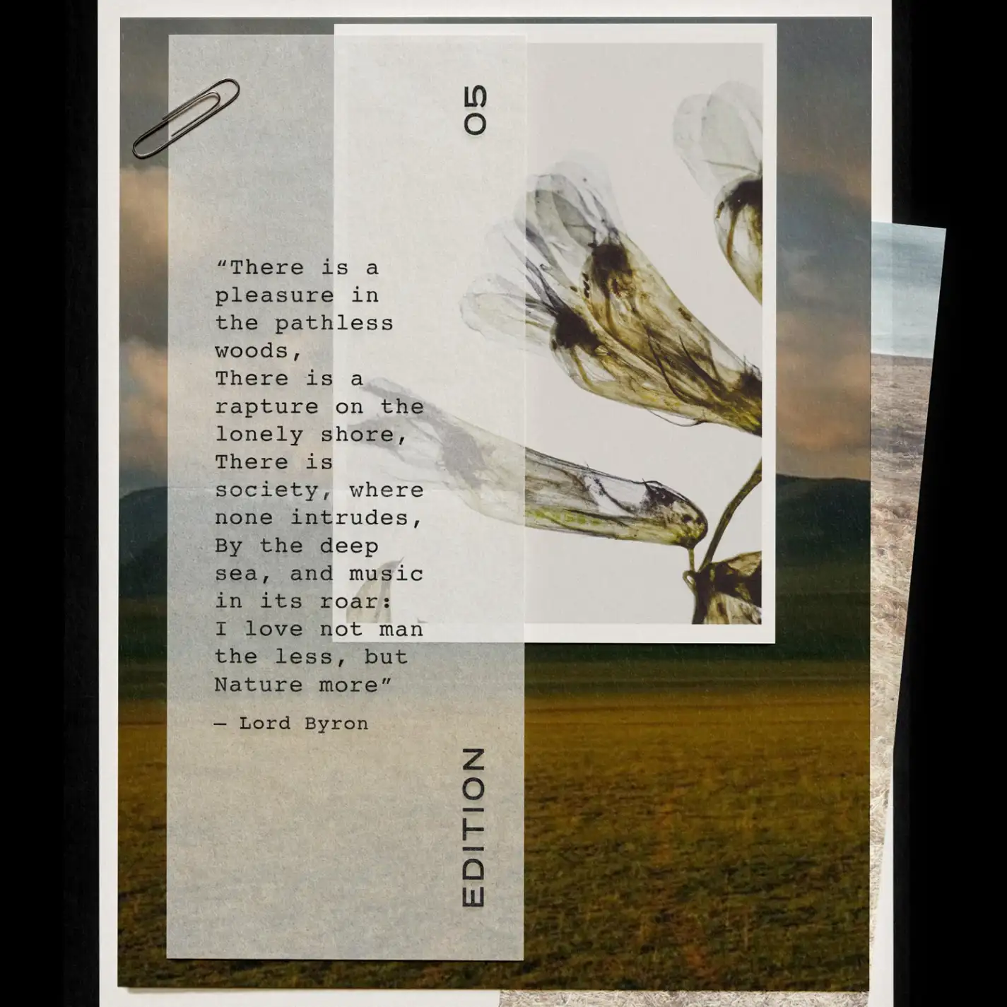 ÉDITION 05 D’INTÉRIEUR BY ANTOINE LIE - Image