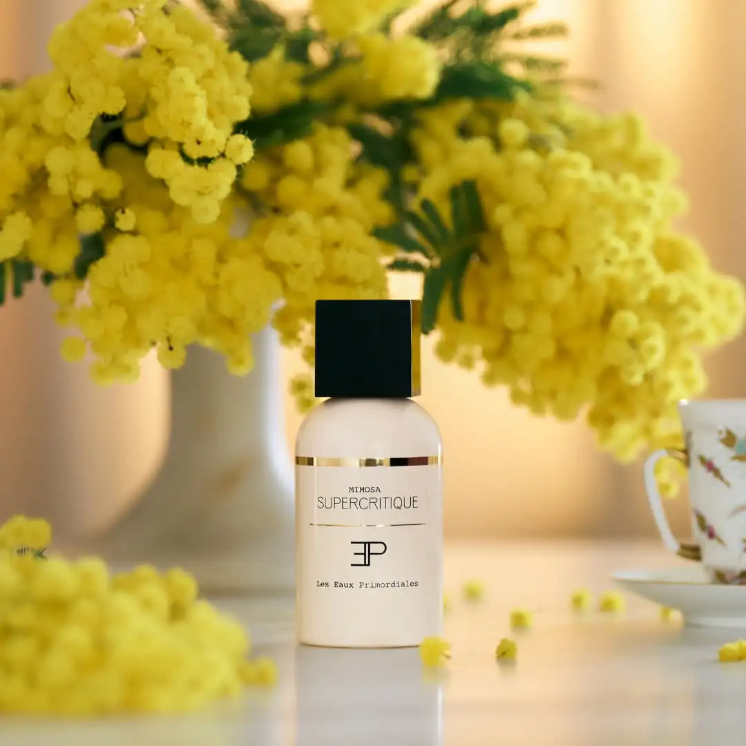 MIMOSA SUPERCRITIQUE - Image