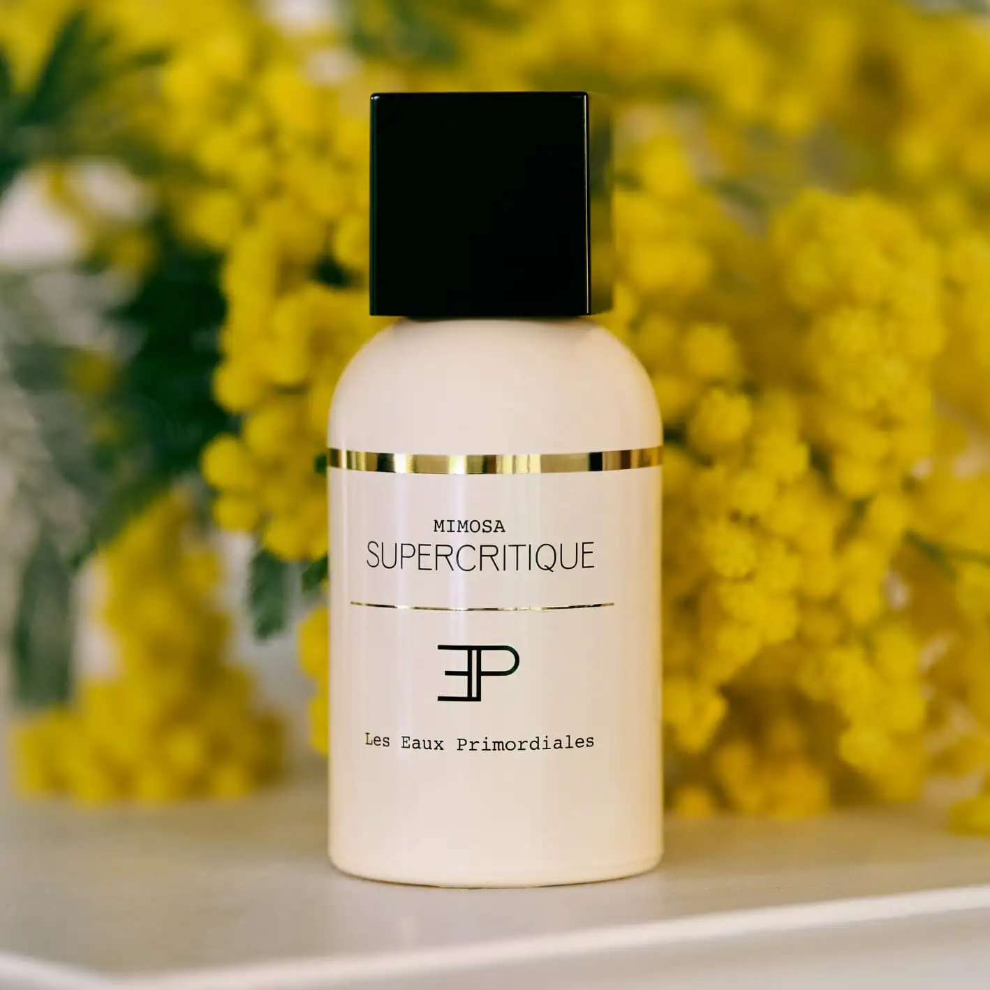 MIMOSA SUPERCRITIQUE - Image