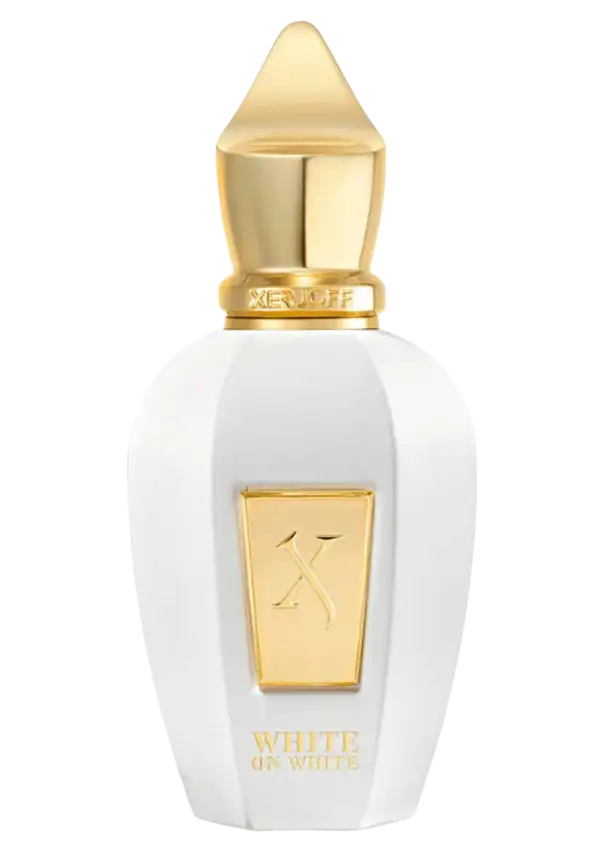 WHITE ON WHITE - Image