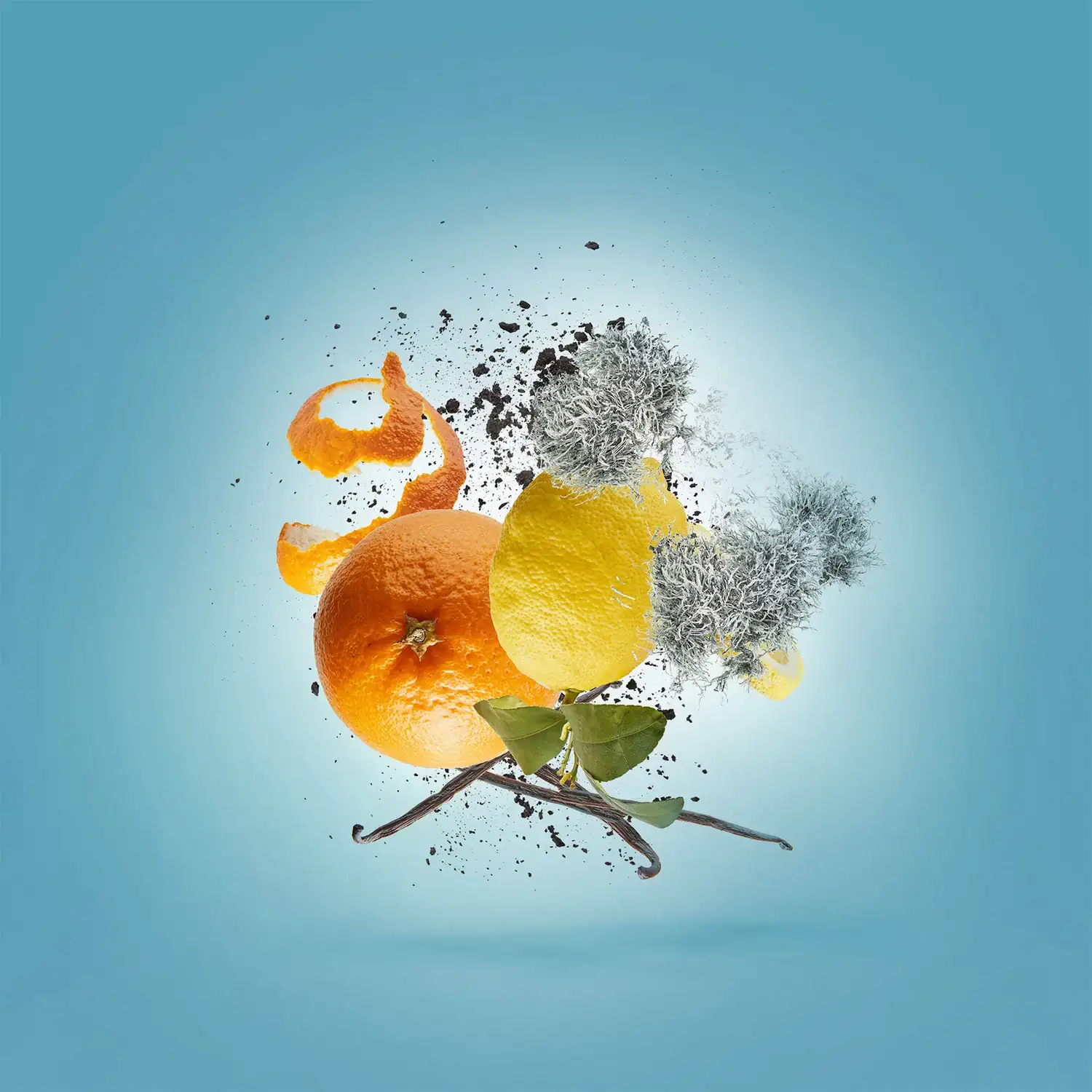 ERBA PURA - xerjoff-erbapura-notes.webp