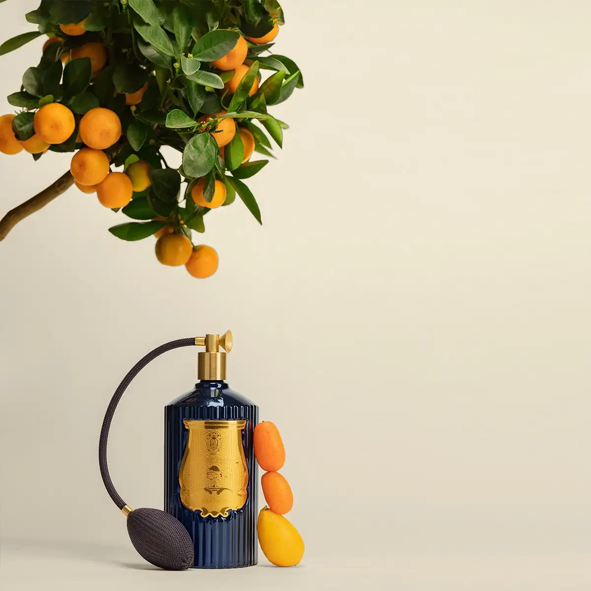 The Room Spray Reggio - Image