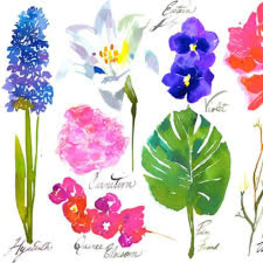 St. Regis Caroline's Four Hundred Room - Image