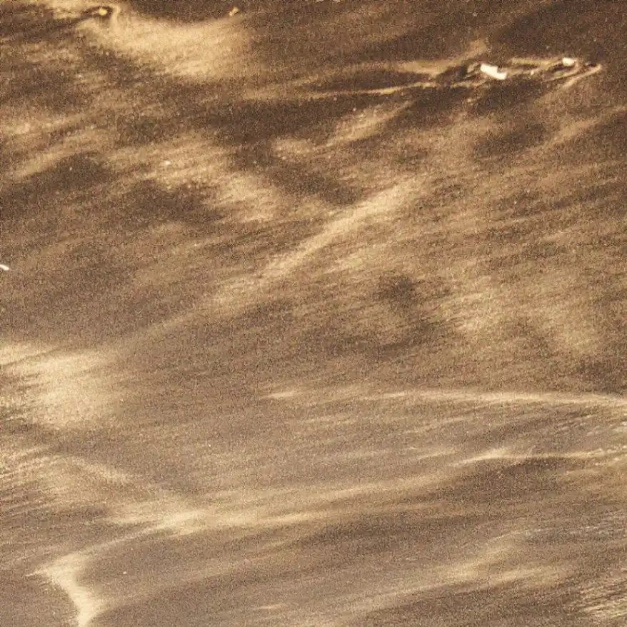 JARDIN DE L'INDE - Chp-4_JARDIN-DE-L_INDE_Mood-Image_resized.jpg