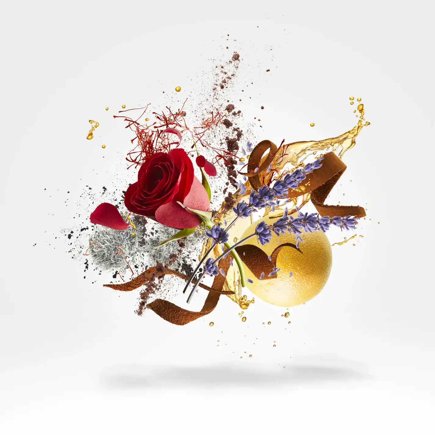 LOUIS XV 1722 - xerjoff-louisxv-notes.webp