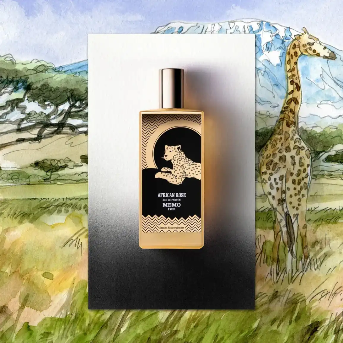 African Rose - 75ml